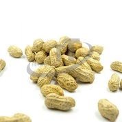 পাখির খাবার চিনাবাদাম