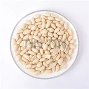 ব্লাঞ্চড পিনাট কার্নেল