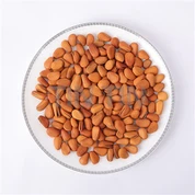 শেল মধ্যে পাইন বাদাম