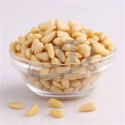 পাইন বাদাম কার্নেল