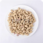 খোসায় ভাজা চিনাবাদাম