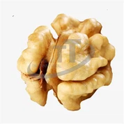 আখরোট কার্নেল