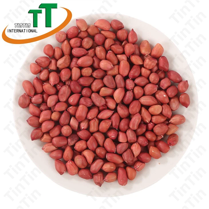 নতুন ফসল কাঁচা লাল চামড়া চামড়া সঙ্গে চিনাবাদাম কার্নেল