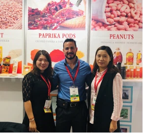 product-291-270 product-291-270