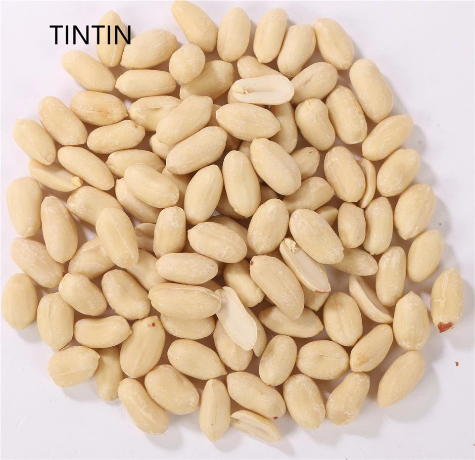 RAW Blanched Groundnut Kernel