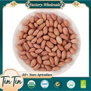 উচ্চ মানের নতুন ফসল চিনাবাদাম কার্নেল