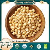 ব্লাঙ্কড চিনাবাদাম কার্নেলস 25/29