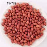 পাইকারি লাল চামড়া চিনাবাদাম